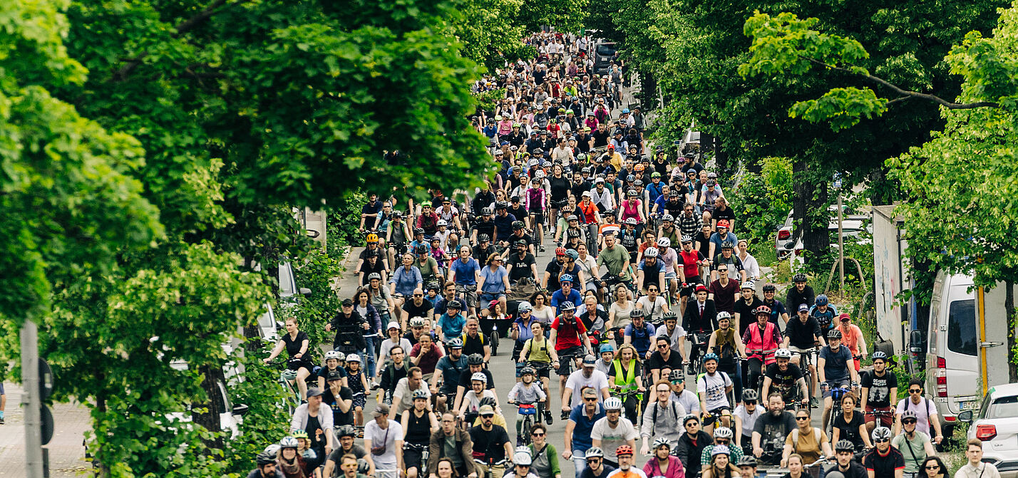 ADFC-Sternfahrt 2025 Dutzende Radfahrende auf einer Baumallee