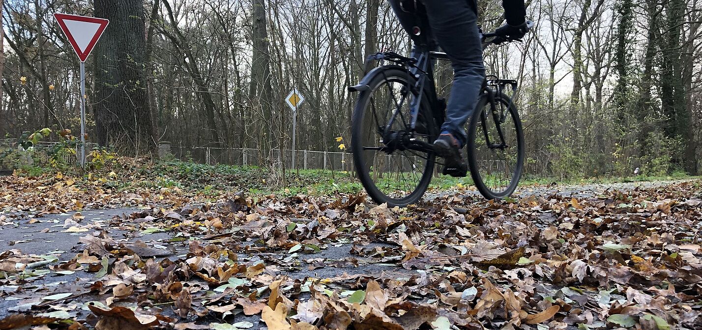 Radfahrer fährt über mit Laub bedeckten Radweg