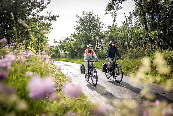 Zwei Personen auf einem Radweg in der Natur
